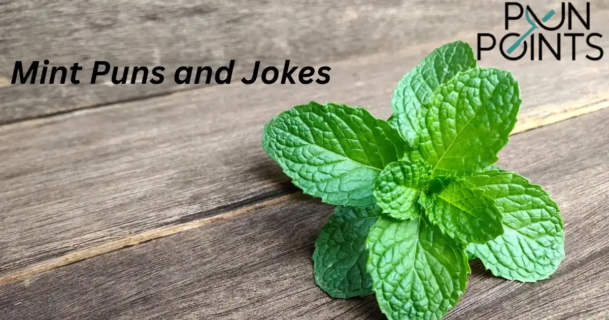 100+ Funny Mint Puns and Jokes for Ultimate Laughter