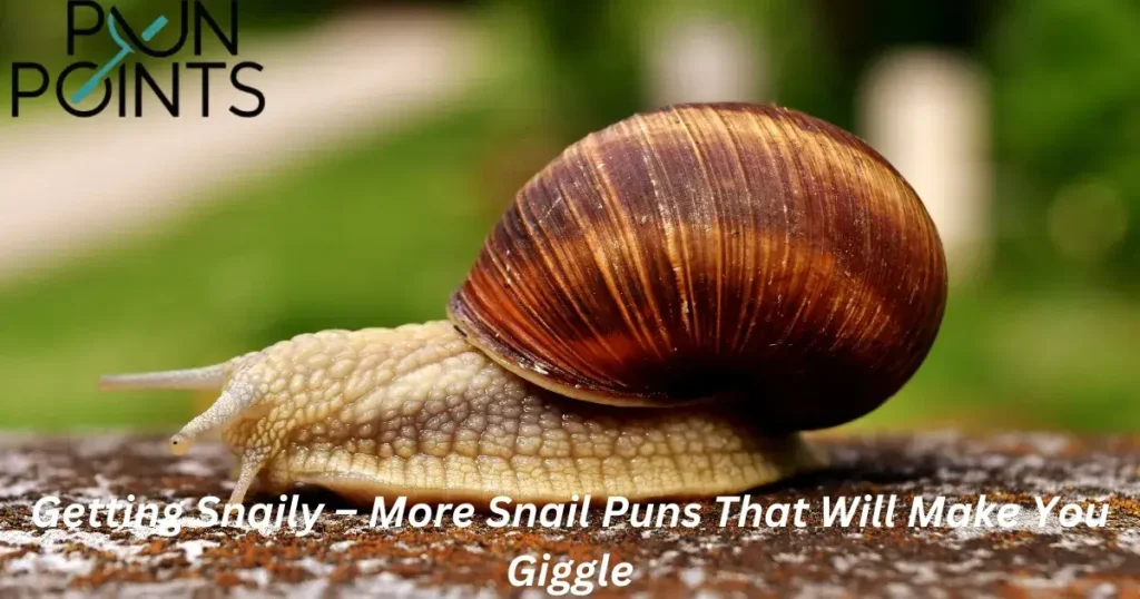 Getting Snaily – More Snail Puns That Will Make You Giggle