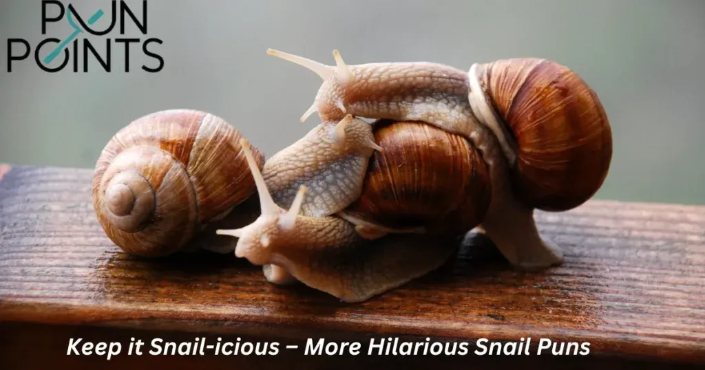 Keep it Snail-icious – More Hilarious Snail Puns