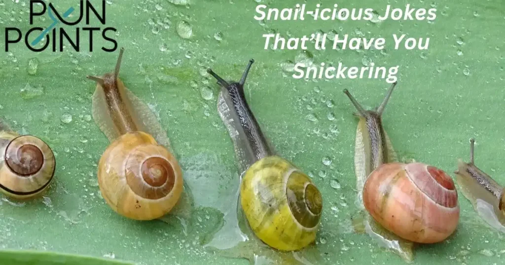 Snail-icious Jokes That’ll Have You Snickering