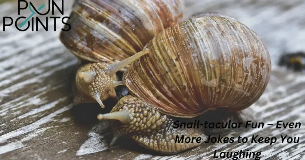 Snail-tacular Fun – Even More Jokes to Keep You Laughing