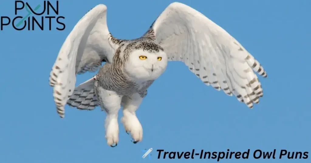 ✈️ Travel-Inspired Owl Puns