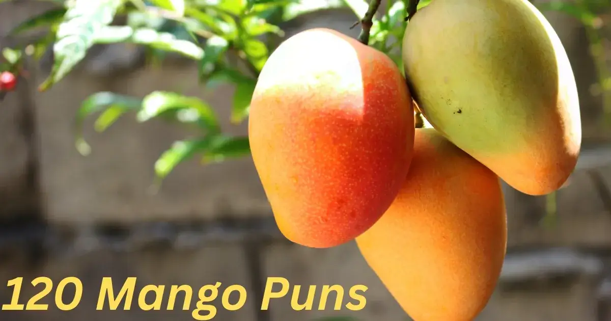 120 Mango Puns (One Liners, For Instagram, Love, Lassi, Drink, Etc.)