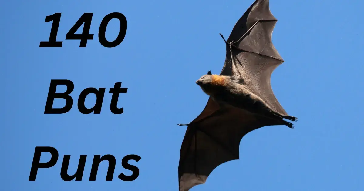 140 Bat Puns (Short One Liners, Captions, For Halloween, Etc.)