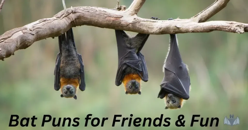 Bat Puns for Friends & Fun 🦇