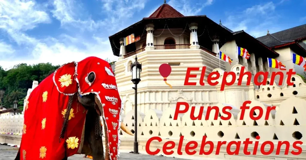 🎈 Elephant Puns for Celebrations