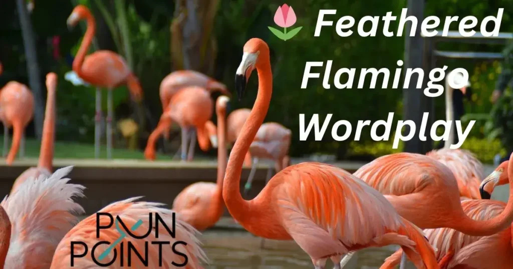 🌷 Feathered Flamingo Wordplay