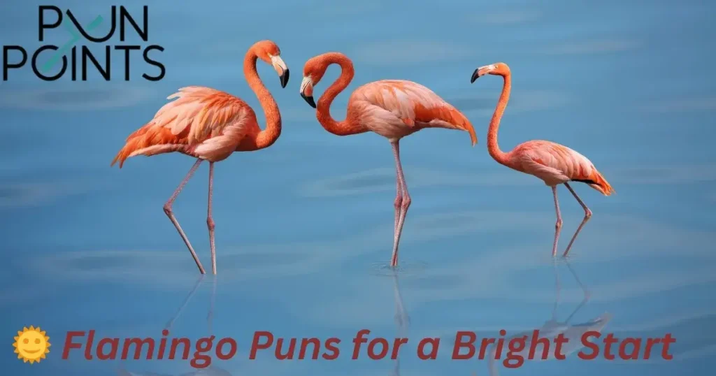 🌞 Flamingo Puns for a Bright Start