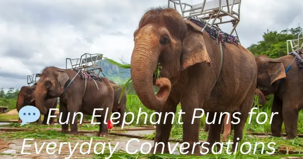 💬 Fun Elephant Puns for Everyday Conversations