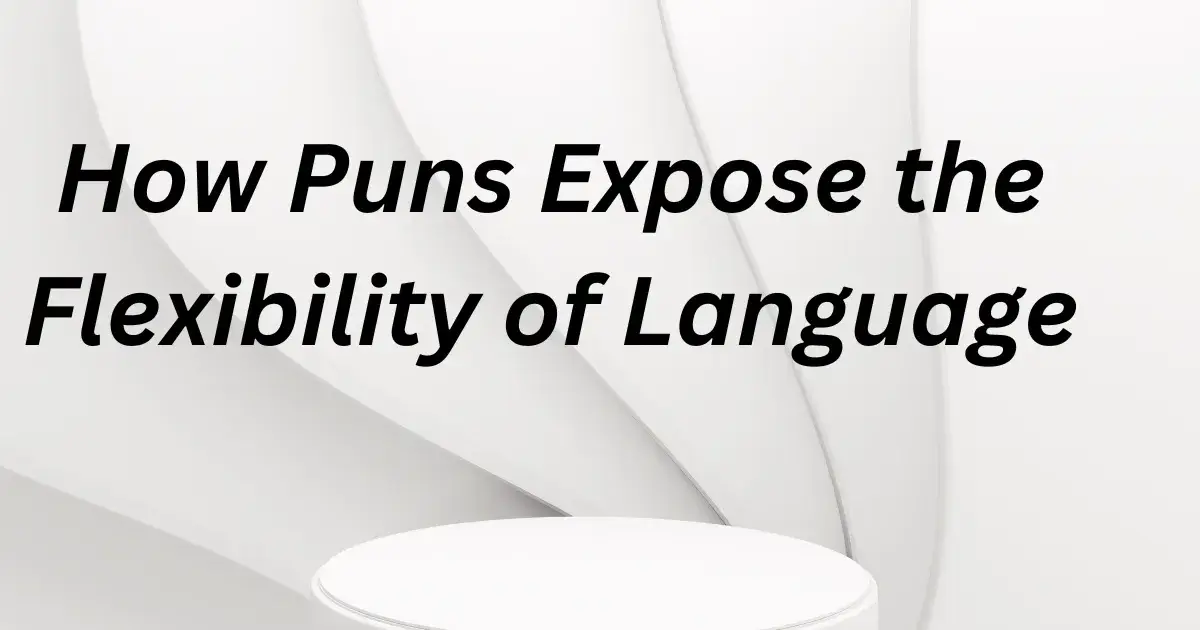 How Puns Expose the Flexibility of Language