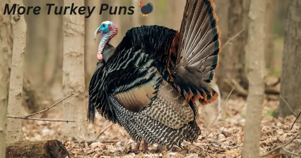 More Turkey Puns 🦃