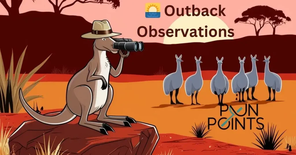 🌅 Outback Observations