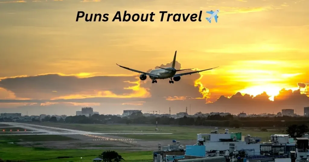 Puns About Travel ✈️