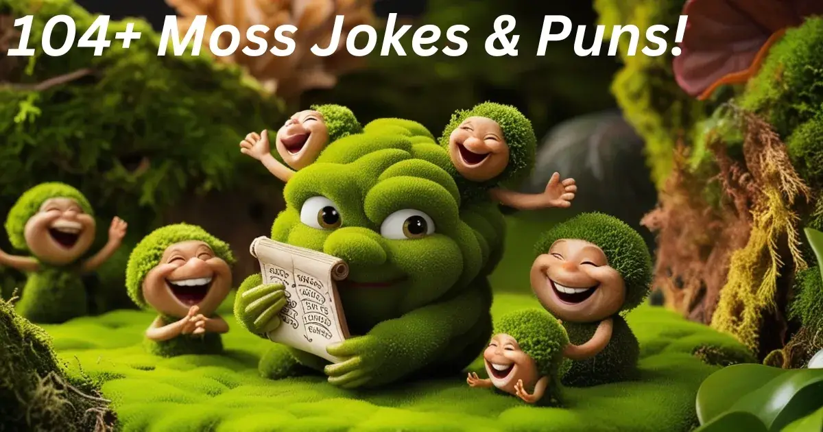 104+ Moss Jokes & Puns: You’d Be Lichen These!